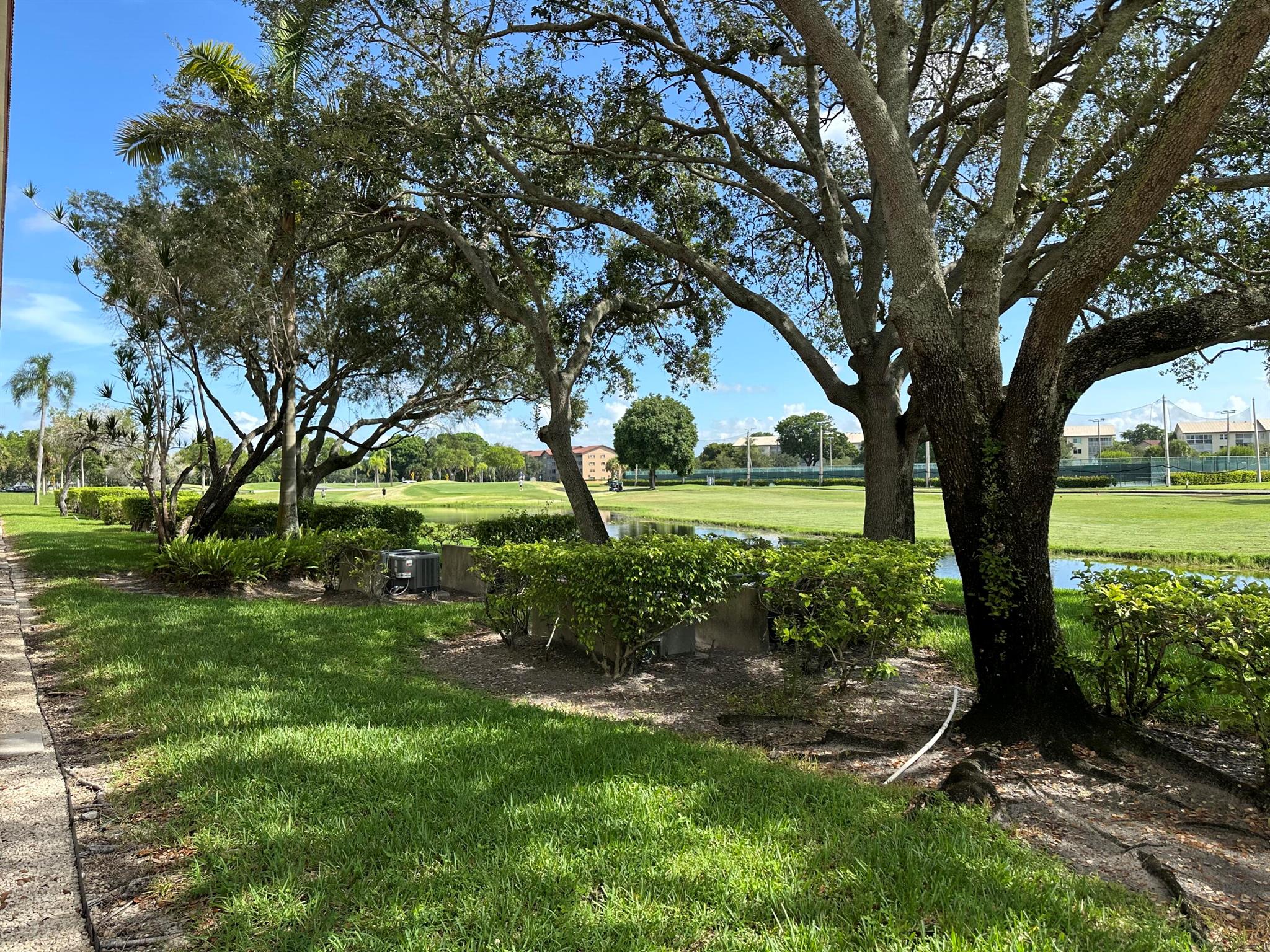 Cambridge At Century